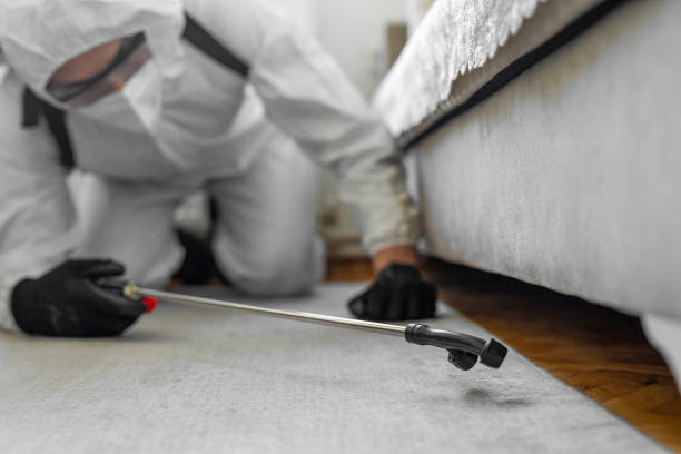 Professional Bed Bug Control technician working in Crystal Springs, MS