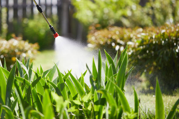 24/7 Emergency Bed Bug Control experts in Crystal Springs, MS