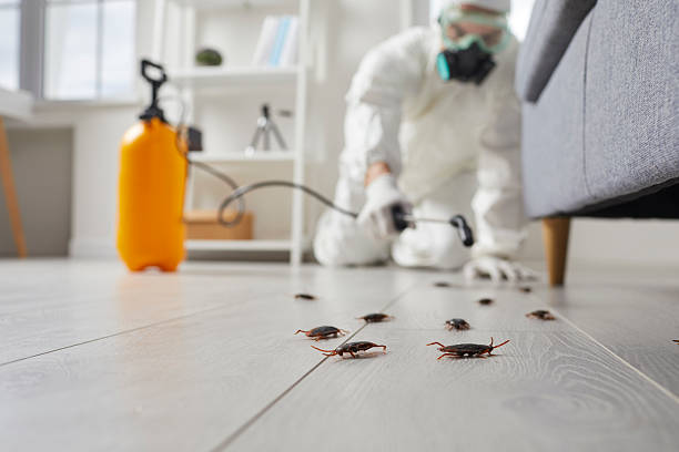 Trusted Cockroach Control service in Crystal Springs, MS - Nex Pest Control
